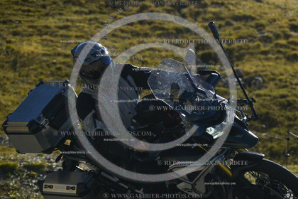 GALI-77219
