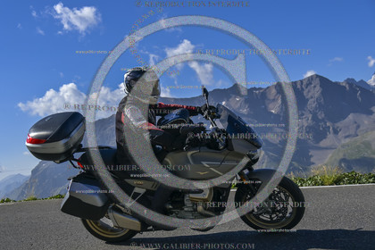 GALI-03153