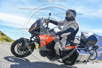 GALI-36092.JPG