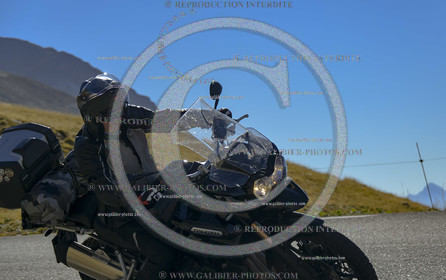 GALI-78206