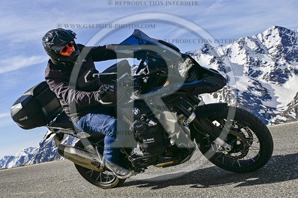 GAL05290