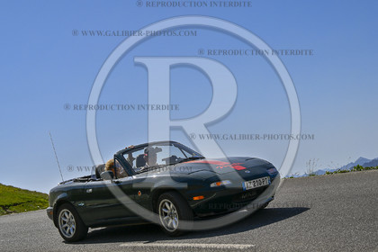 GAL44027.jpg