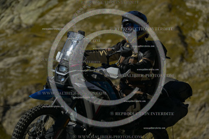 GALI-78263